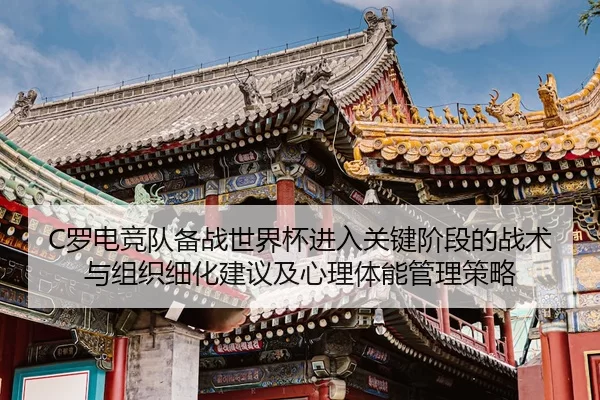 luo-dian-jing-dui-bei-zhan-shi-jie-bei-jin-ru-guan-jian-jie-duan-de-zhan-shu-yu-zu-zhi-xi-hua-jian-yi-ji-xin-li-ti-neng-2-481.jpg
